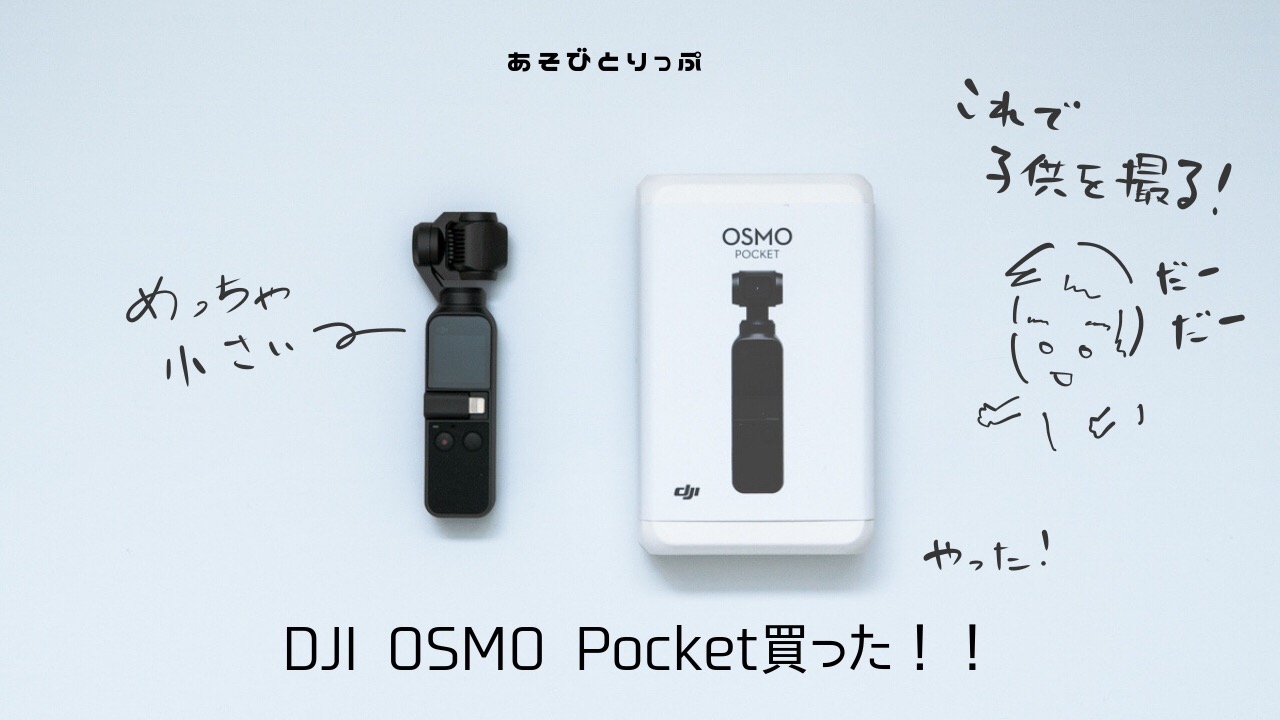DJI OSMO Pocket』購入！初めてのジンバル搭載カメラで家族を撮る 